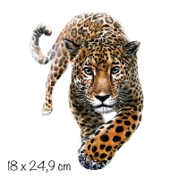 Bügelbild Leopard