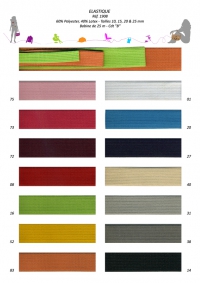 Elastic Couleur 2 cm