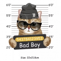 Bügelbild Bad Boy Cat