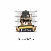 Bügelbild Bad Boy Cat klein