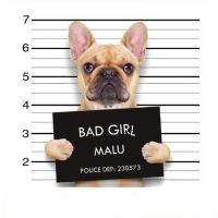 Bügelmotiv Häftling Hund